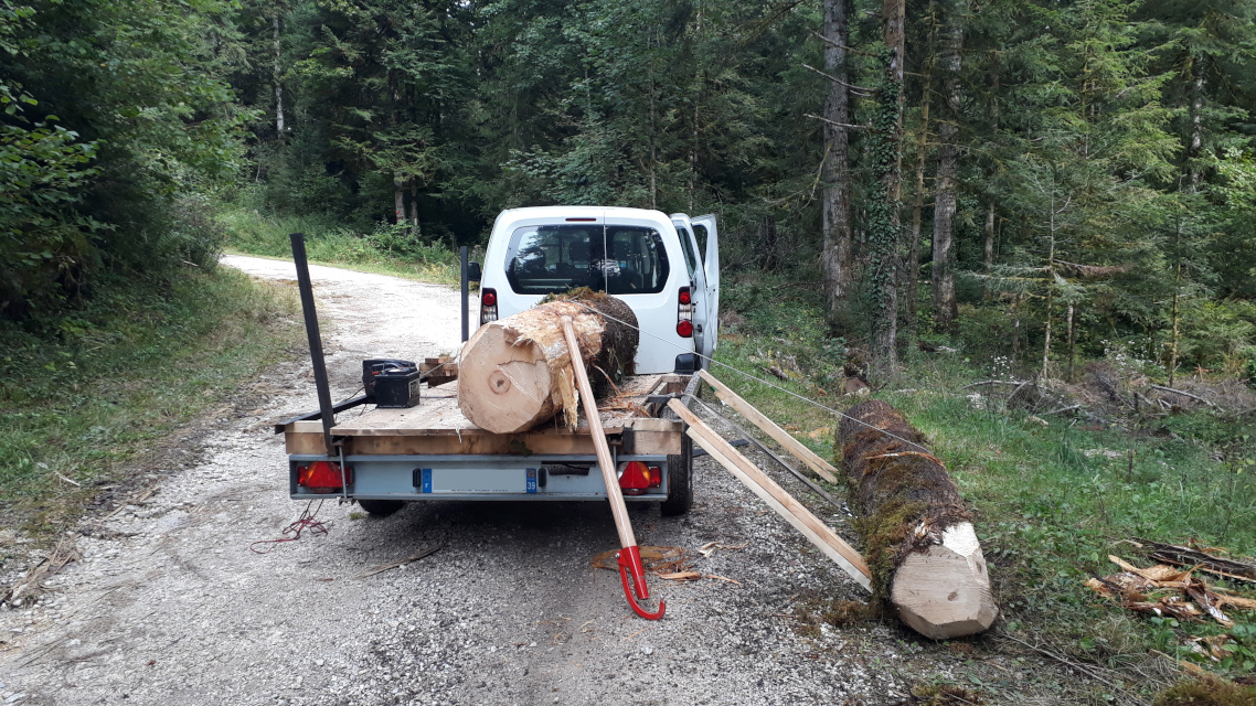 Coupe de bois